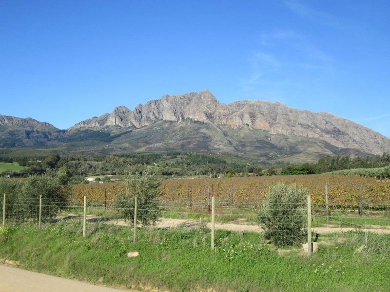 0 Bedroom Property for Sale in Wellington Western Cape